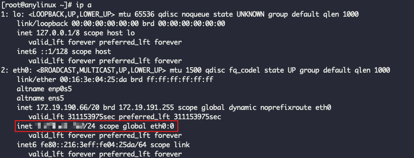 Assign Public IP to eth0